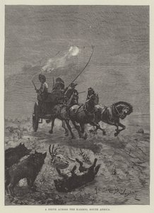 A Drive Across the Karroo, South Africa by Henry Charles Seppings Wright